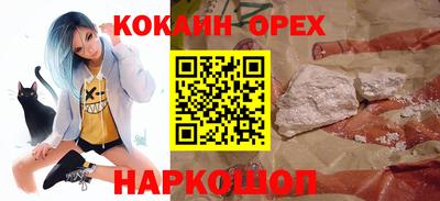 гашик Тверь