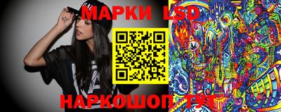гашик Тверь