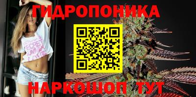 гашик Тверь
