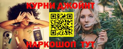 гашик Тверь