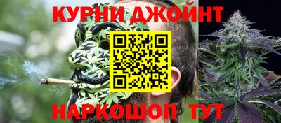 гашик Тверь