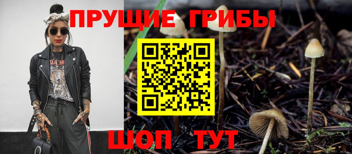 Псилоцибиновые грибы GOLDEN TEACHER  Вход с VPN  Нефтекумск 